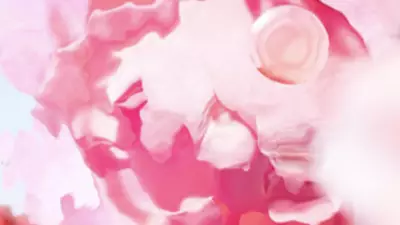 [ingredient visual - cropping on rose flower]