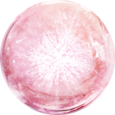 BIOTECH BISABOLOL