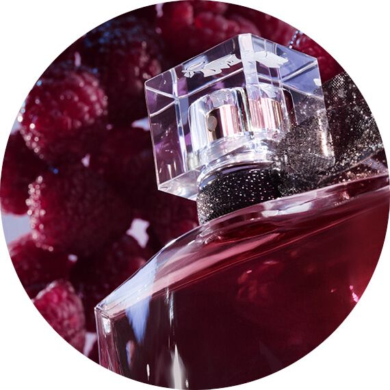 LIQUOROUS RASPBERRY ACCORD