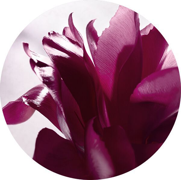 HEART OF ROSE ESSENCE