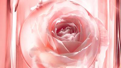 ROSE PETAL ESSENCE