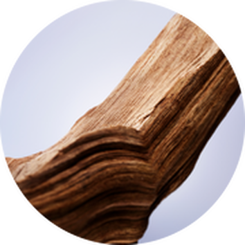 Close-up of a textured wooden piece showcasing its natural grain and contours against a soft, light background.