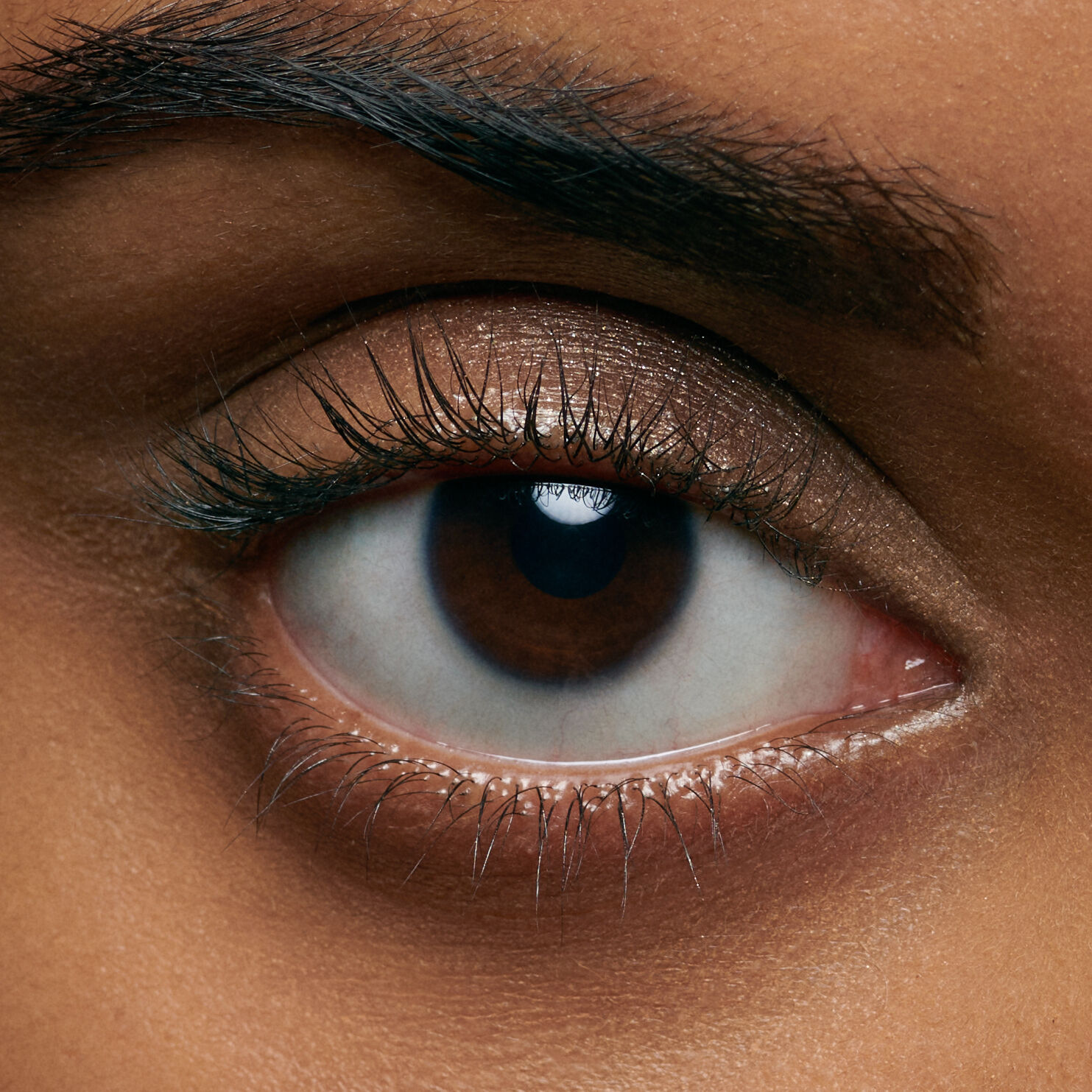 Close-up of a human eye, showcasing its detailed iris, eyelashes, and skin around the eye.