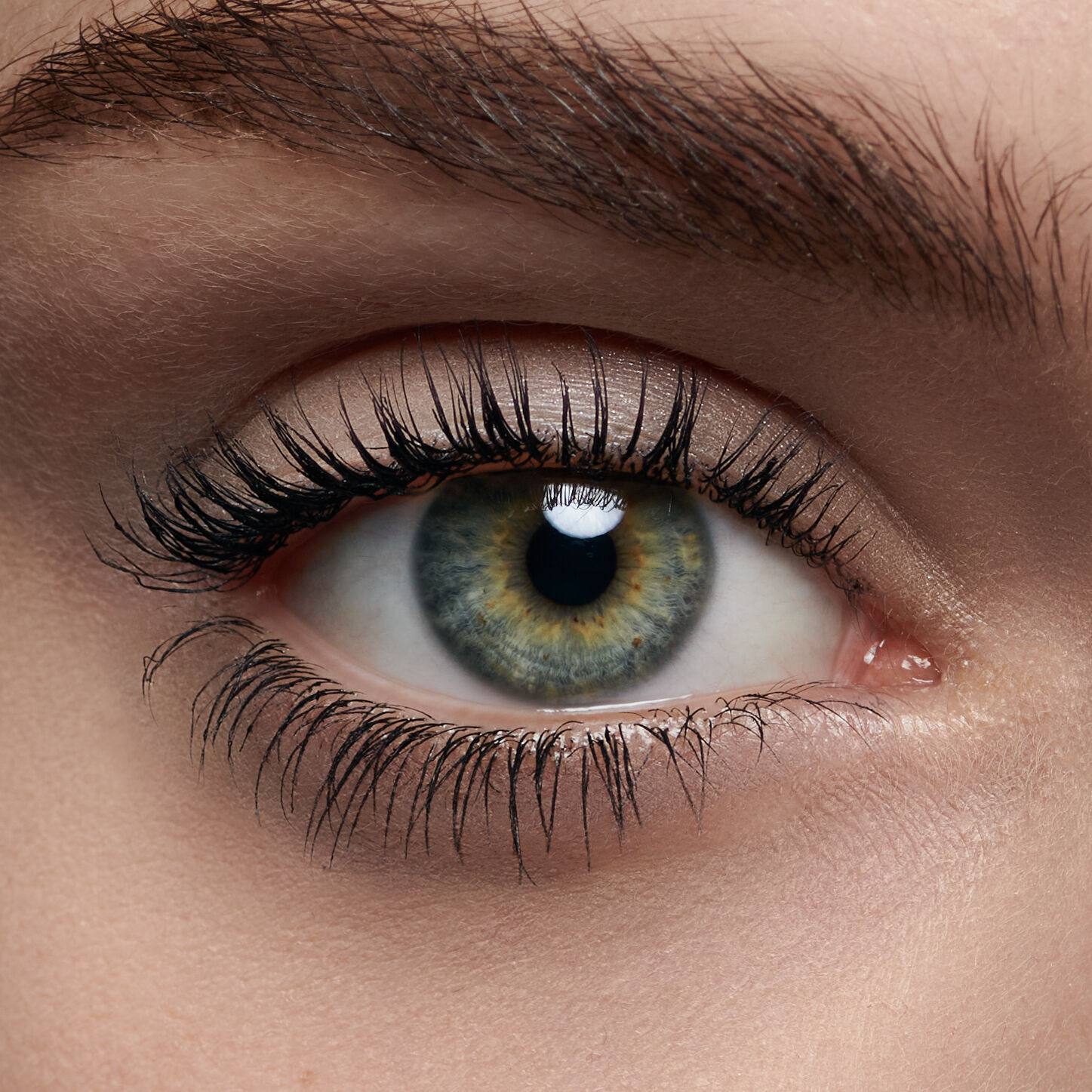 Close-up of a human eye featuring a blue-green iris, long eyelashes, and a natural look.