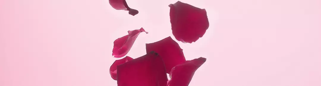 A few scattered red rose petals falling against a soft pink background.