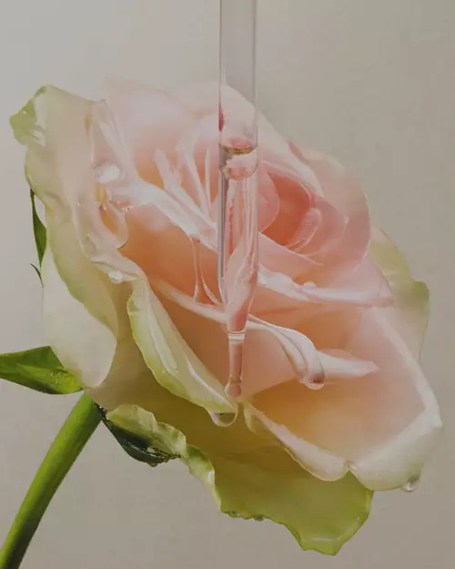 Lancome's Commitments