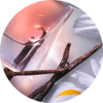 A close-up of a perfume bottle with pink liquid, surrounded by vanilla sticks and delicate white petals.
