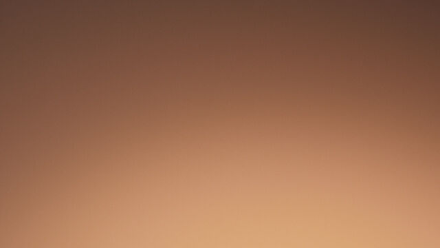 Three makeup brushes of varying sizes, arranged vertically against a warm, gradient background.