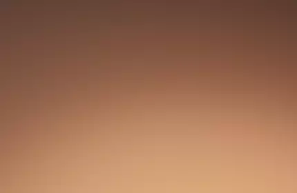 Three makeup brushes of varying sizes, arranged vertically against a warm, gradient background.