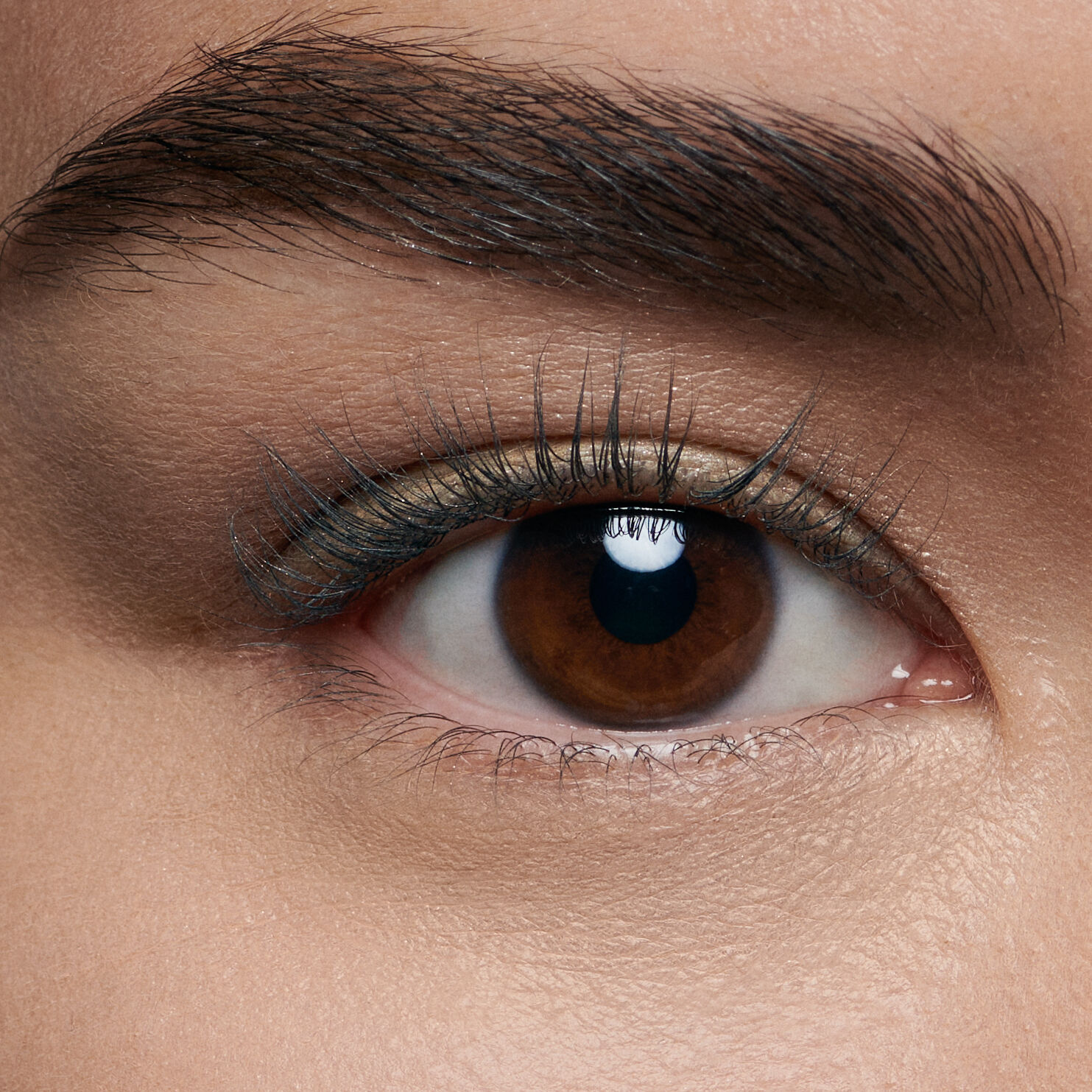 Close-up of a human eye showing a brown iris, long eyelashes, and well-groomed eyebrows.
