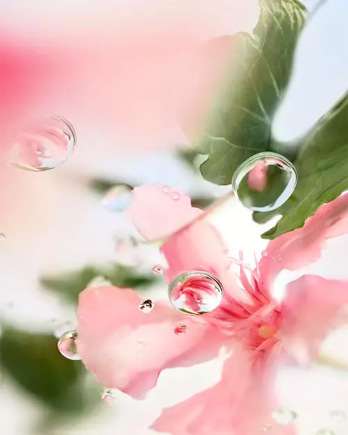 Illustration for Lancome FAQ