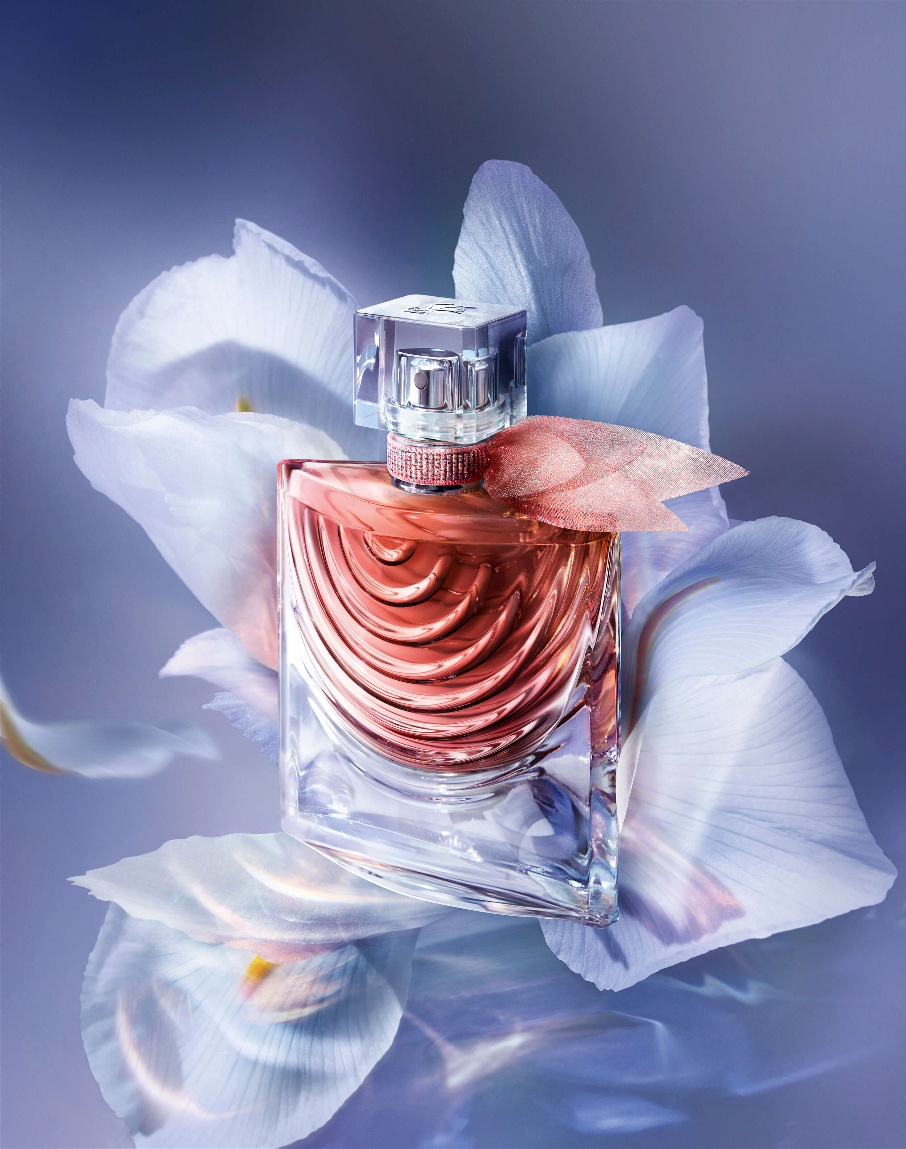 Iris and cloud 2025 perfume