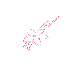 A simple, stylized line drawing of a flower with elongated petals and a slender stem, outlined in bright pink against a black background.