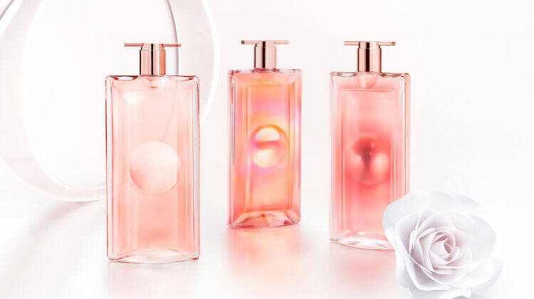 Three stylish pink perfume bottles arranged in a row, accompanied by a white rose, on a softly lit surface with a minimalistic background.