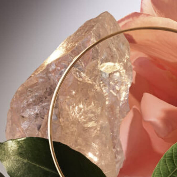 A close-up of a clear crystal next to a pink rose, framed by a gold circle, highlighting nature and elegance.