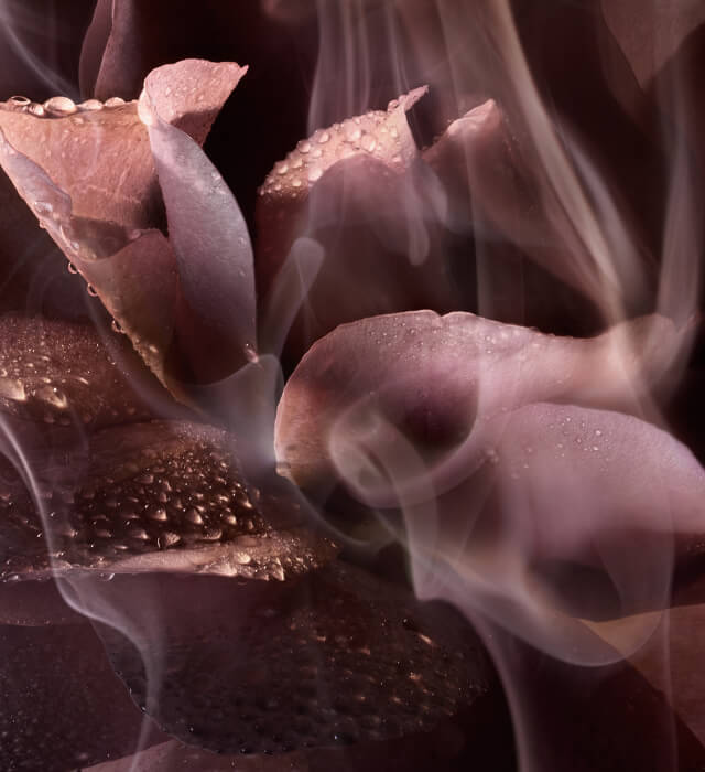 A close-up of delicate flower petals with water droplets, surrounded by soft, ethereal wisps of smoke. The colors are muted and warm, creating a serene and dreamy atmosphere.