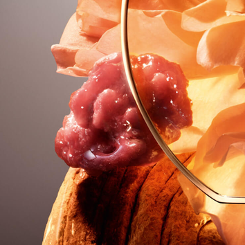 A close-up of a textured, glistening organic shape against a backdrop of soft pastel flowers and a gold circular frame.