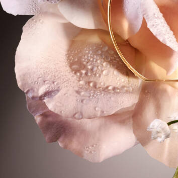 A close-up of a pale pink rose with dew drops, featuring a delicate gold ring resting on the petals.