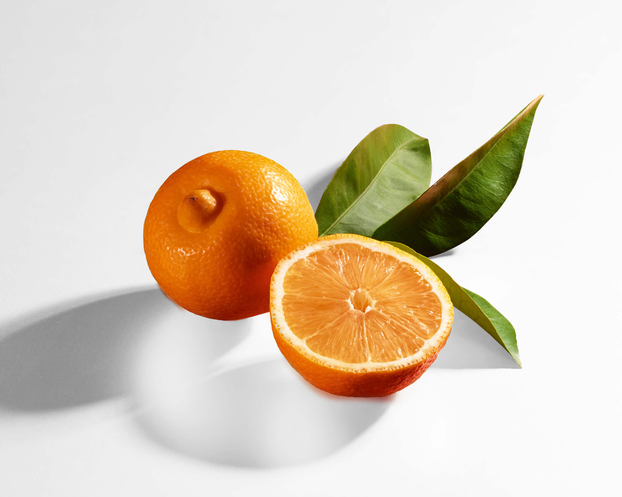 FRESH CITRUS