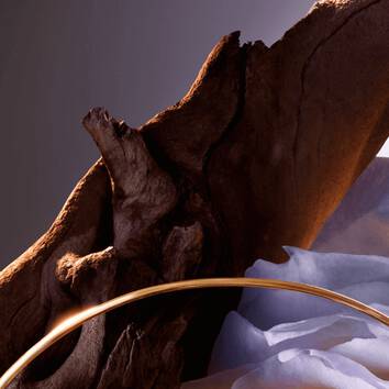 A curved gold hoop rests on a textured, dark wooden surface, contrasting with soft fabric in the background.